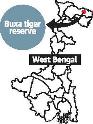 67 13.3 Augmentation Program in Buxa Tiger Reserve National Tiger Conservation Authority (NTCA) recently chose Buxa tiger reserve in West Bengal for the tiger augmentation programme.