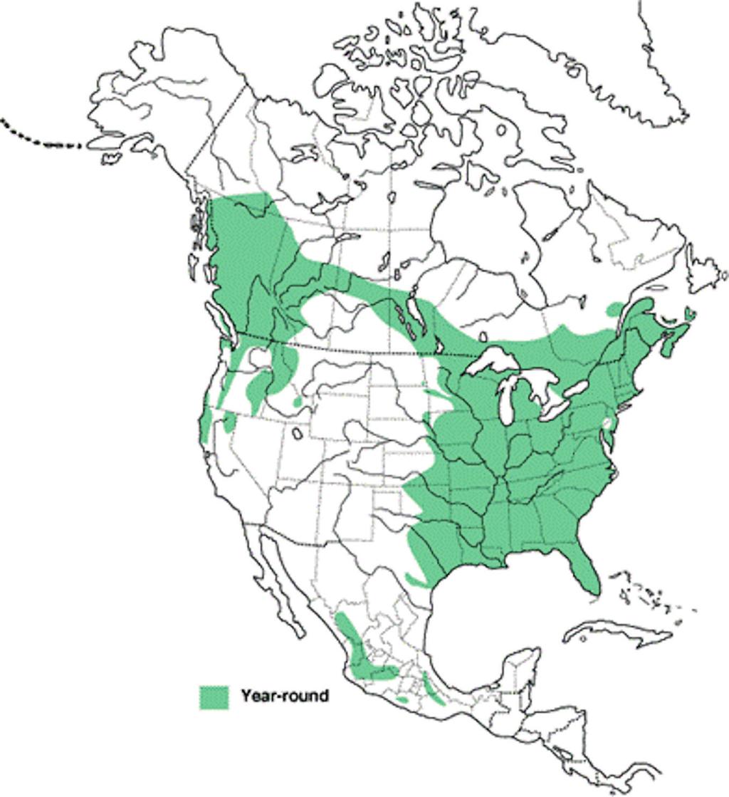 Bringing Ethics to Wild Lives 223 Figure 2 Barred owl distribution map. Provided courtesy of Birds of North America Online and the Cornell Lab of Ornithology: http://bna.birds.cornell.edu.