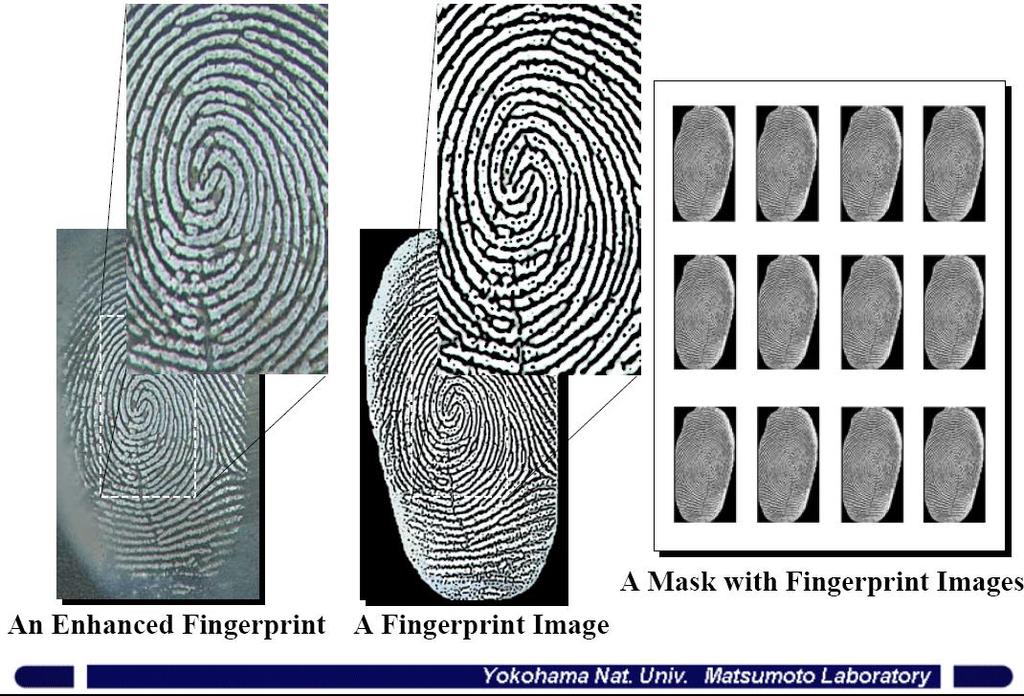 Fingerprint Image
