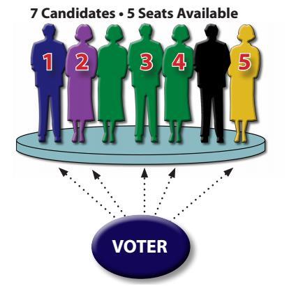 Ranked Choice Voting (Preference Voting or Single Transferable Vote) Ranked choice voting is a voting method where voters rank candidates in order of preference.