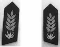 5137 Government Gazette 20 February 2013 69 Rank Insignias in the