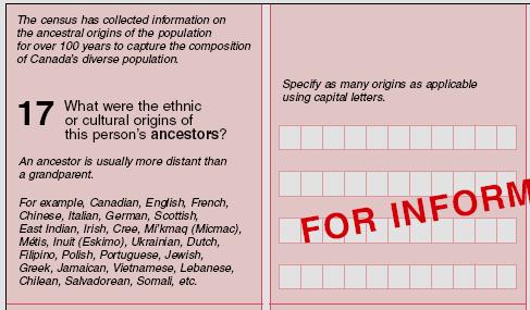 The ethnic origin question in the 2006 Census long questionnaire (Form