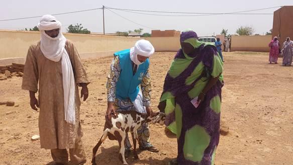 636 Malian refugees in Niger benefited from transportation assistance during their voluntary return to Mali.