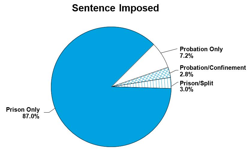 United States Sentencing Commission 48.1 percent received a sentence below the guideline range, although only 9.7 percent of these below range sentences were requested by the government.