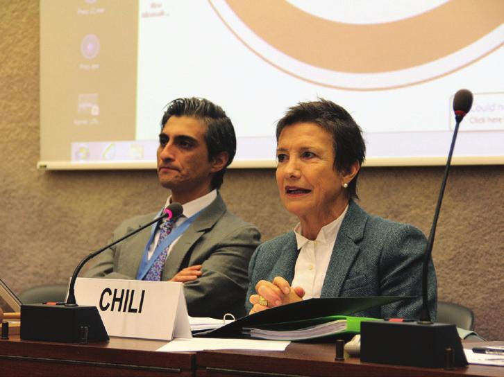 H.E. Marta Maurás, Ambassador of Chile to the UN in Geneva, with the support of Fernando Guzmán led preparations for the 15MSP.