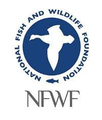 National Fish and Wildlife Foundation Chartered by Congress in 1984 501(c)(3) organization with a 30-member Board approved by Secretary of the Interior Includes USFWS Director & NOAA Administrator