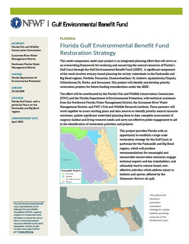 Multi-year effort to plan remaining GEBF investments in Florida GEBF Restoration Strategy Initial central planning tasks underway: evaluate existing natural resource plans for priorities; categorize