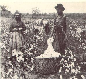 The Rise of Segregation Some African Americans that stayed in the South formed the Colored Farmers National Alliance.
