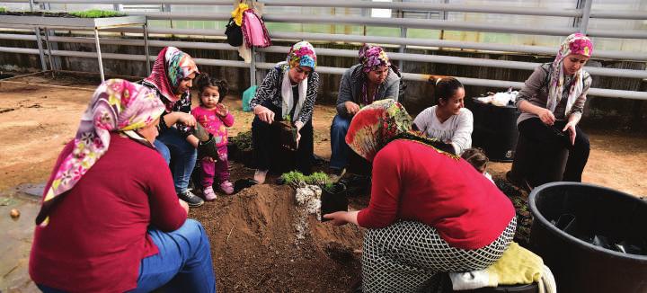 Current Situation Food Security Food security among Syrian households in Turkey remains a concern, with around 23 per cent of households classified as having unacceptable food consumption, 7