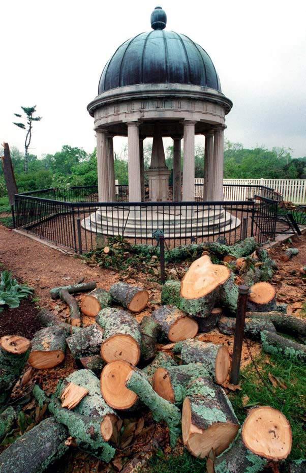 The original tree over Rachel s grave at the Hermitage in Nashville was destroyed by a tornado in 1998.