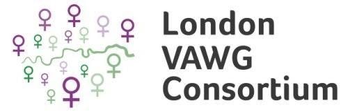 Introduction ASCENT - Support services to organisations Ascent is a partnership within the London Violence Against Women and Girls (VAWG) Consortium, delivering a range of services for survivors of