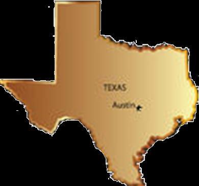 The Texas Executive Branch Part II A