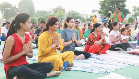 Secretary, Ayush department, Mukesh Meshram said people performed yoga at separate programmes organised by government and non-government organisations.