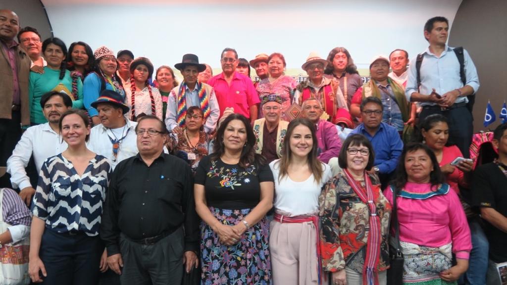 Council of Indigenous Peoples (ACIP). In Spanish, the Consejo Americano de Pueblos Indigenas (CAPI).