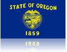 Delivered the first online Accessibility solution with ipads (replaced costly single purposed hardware solution) State of Oregon Online Ballot Delivery System Statewide development, implementation,