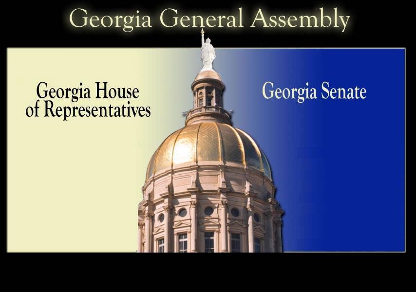 The General Assembly Propose and pass bills Both houses must approve