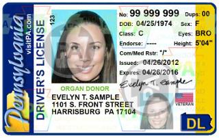 True or False: If you don t have a driver s license you can t vote. False: Voters do not need Photo ID to vote.
