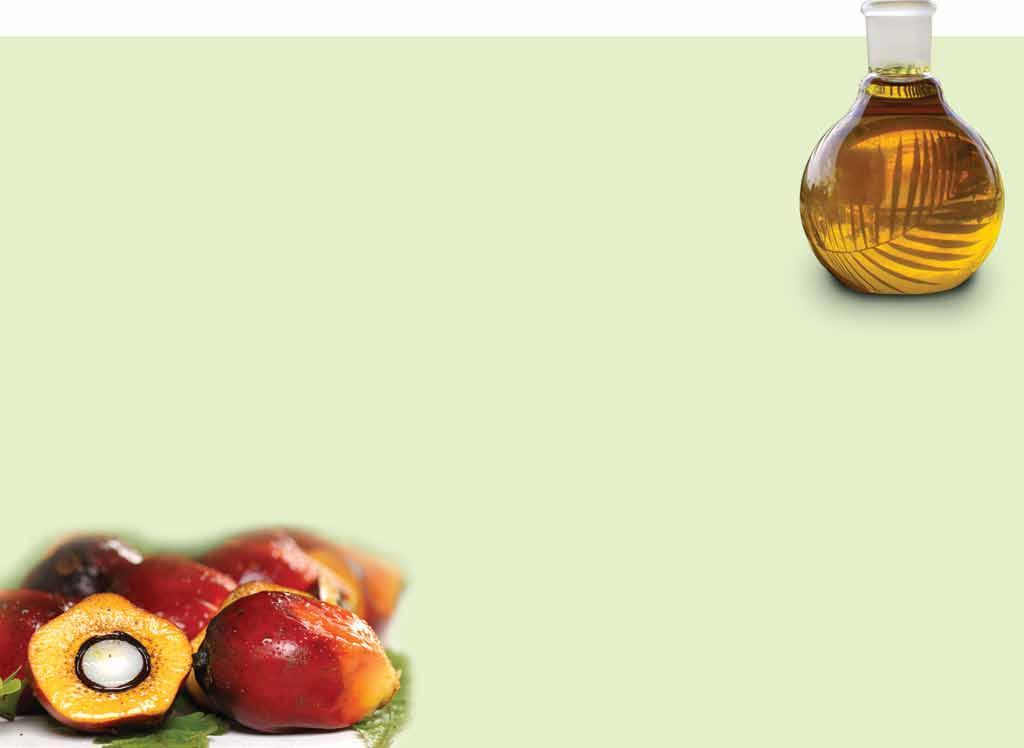 The oil is fully of many healthy fatty acids, as well as an assortment of vitamins, antioxidants, and other phytonutrients.