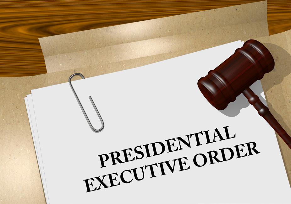 4 Reverse any enforcement guidance or executive orders issued by previous administrations.