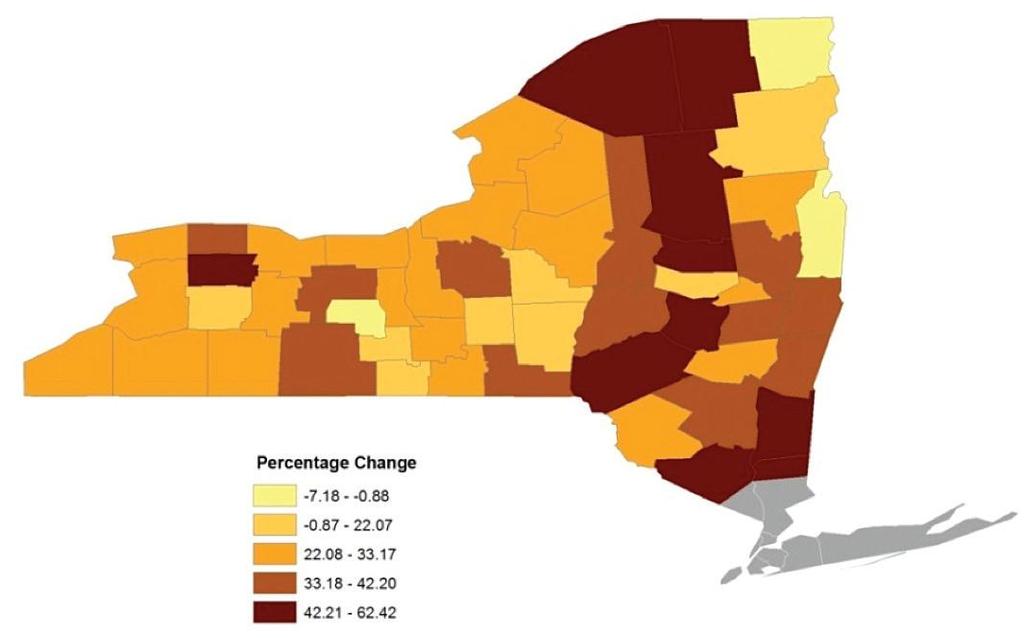 Changing Landscape of Diversity Hispanics are now the largest race/ethnic group in NYS In Upstate, African Americans still outnumber Hispanics But, Hispanic rate of growth > African American The