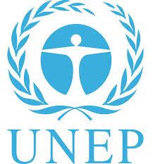 United Nations Environment Programme UNEP, established in 1972, is the voice for the environment within the United Nations system.