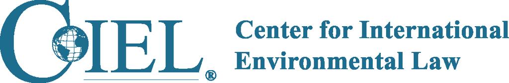 The Center for International Environmental Law welcomes and sincerely appreciates the work by the Chair-Rapporteur on the Draft Elements to address significant governance and accountability gaps with