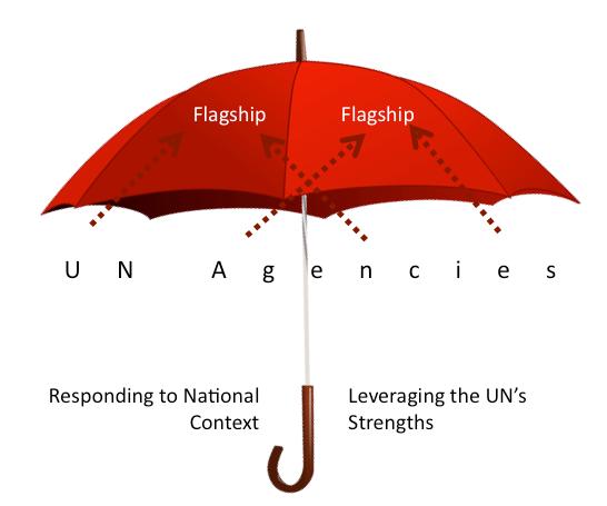 national context. So far, UNDAF has been viewed as an umbrella (see Figure 9), under which all UN agencies are located and work towards delivering on government priorities.