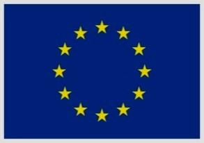 This action is funded by the European Union ANNEX 13 of the Commission Implementing Decision on the adoption of an Annual Action Programme 2016 for the European Instrument for Democracy and Human