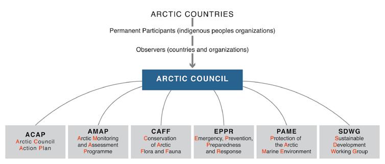 Figure 1: Organizational Structure of the Arctic Council Source: Arctic Monitoring and Assessment Programme (2015).