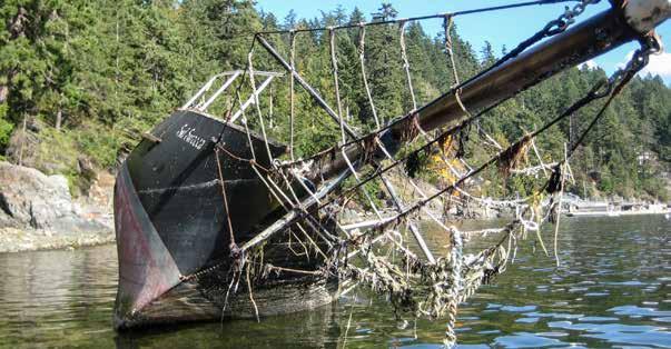 Receiver of Wreck Under the Canada Shipping Act, 2001 a person who finds and takes possession of a wreck, the owner of which is unknown, is required as soon as feasible to report to the Receiver of