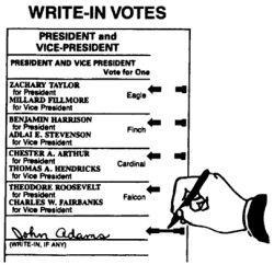 Write In Voting Voting Types Voters can write in names of candidates they wish to vote for, whose