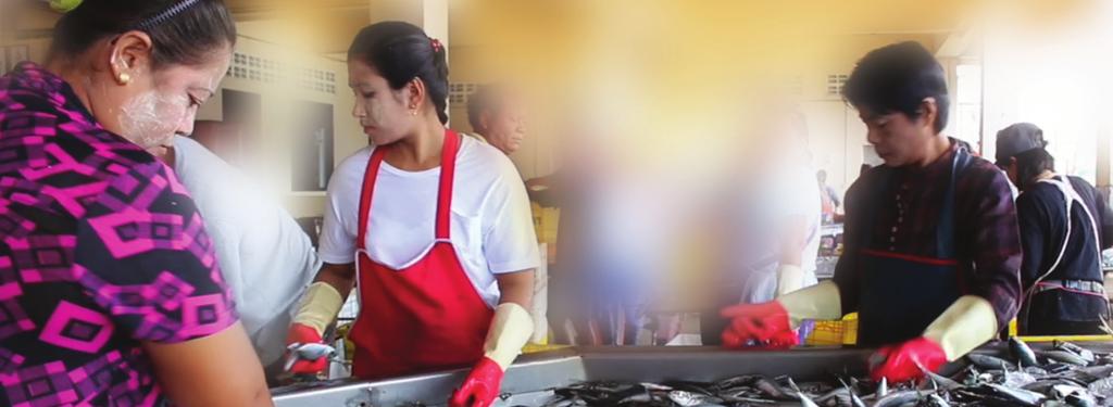 Dream out of Reach: A Living Wage for Women Migrant Workers in Thailand Summary MAP Foundation conducted research with migrant women in Thailand about a living wage.