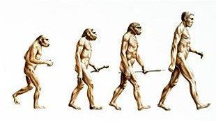 Evolution & Genetics: a)charles Darwin - The Origin of