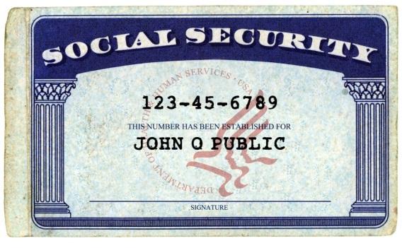 Voter ID USA SSN