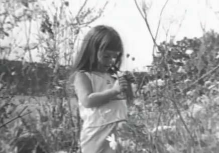 Political Campaign Rhetoric (5) Images of a cute little girl counting daisy petals