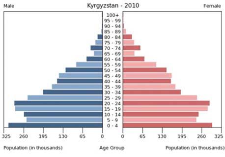 appreciation and rising labor costs. Finally, the demographic structure of Kyrgyzstan is such that job creation will remain a central challenge for years to come.