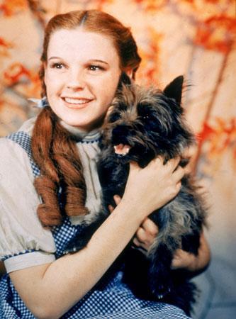 Dorothy (and Toto) Everyman of