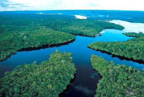 Amazon River Amazon River