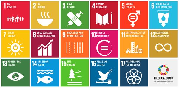 A Closer Look at the Sustainable Development Goals The SDGs set out the scope and ambition of the global development programme from 2015 2030.