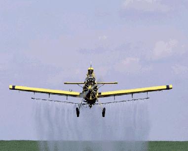 Pesticides and Community Health, Rio Yaqui, Sonora Mexico The airplanes spray chemicals on