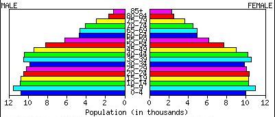 Classifying population pyramids 2. Stationary or Stable Have a half-ellipse shape.