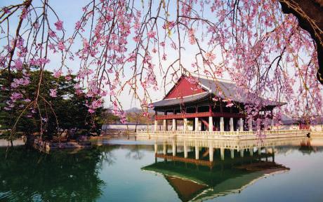 You ll find very distinct seasons in South Korea, as the climate ranges from cold winters where the temperature frequently drops below zero, to hot and humid summers.