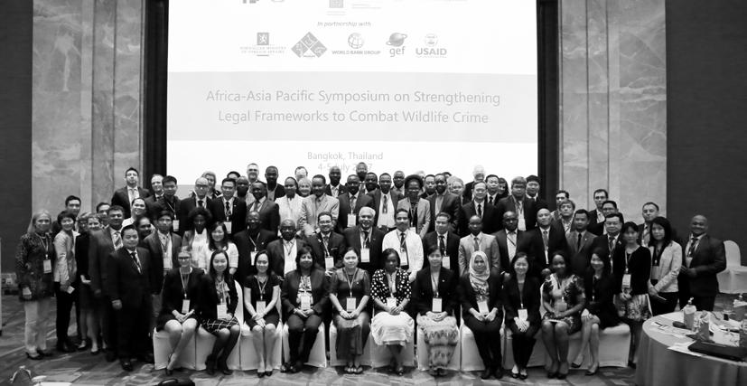 Contribute legislation and case law relevant to wildlife and forest crime to UNODC s database Sharing Electronic Resources and Laws on Crime (SHERLOC) Consider the development of a massive open