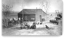 The Homestead Act A homesteader had only to be the head of a household and at least 21 years of age to claim a 160 acre parcel of land.