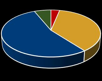 This represents an increase of 9,346 calls or 4.7%. Calls to Communications Bureau Call Type 2016 2017 4.9 4.4 2017 Citizen Generated Calls for Service Advised by 6.9 5.6 25.