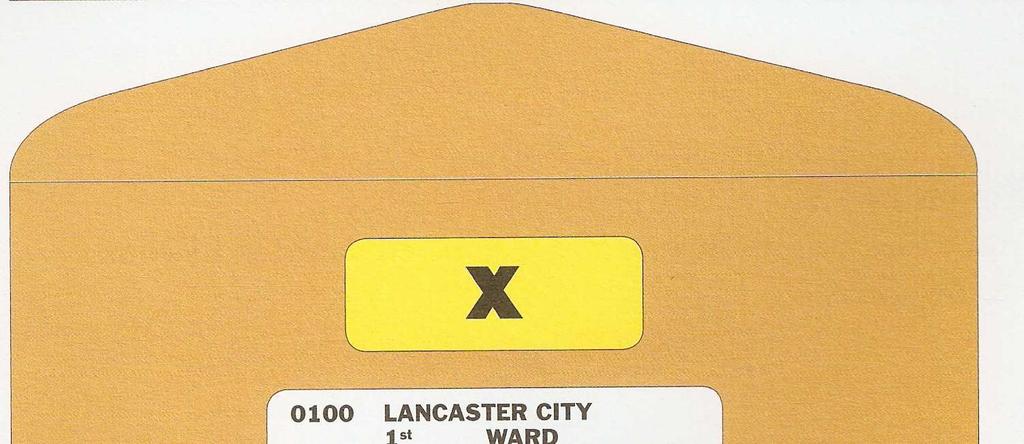 Election Day Envelopes Envelope X