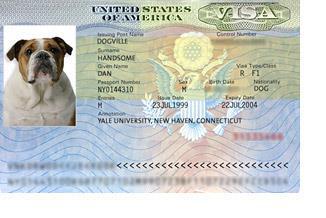 Important Documents: Visa Can only apply for a visa stamp outside the U.S.