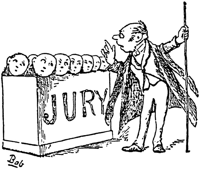 Trial Process Jury Selection Twelve Jurors and alternates are selected after lawyers interview