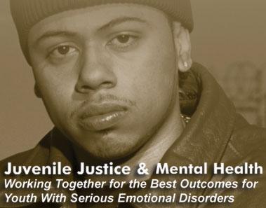 Juvenile Court System Purpose: To protect the well-being of