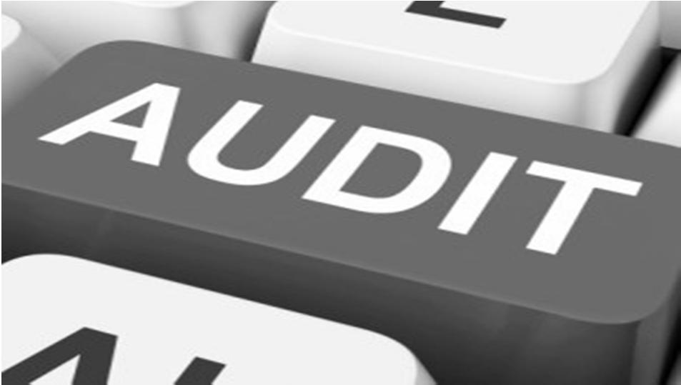 Audits and Appeals 21 What is it?